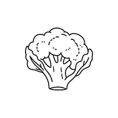 Broccoli Illustration, Vegetable Line Art