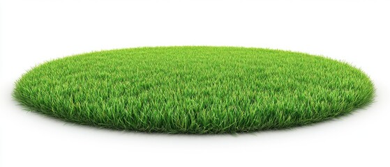Circular patch of vibrant green grass (2)