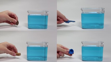 Objects Floating and Sinking in Water Experiment