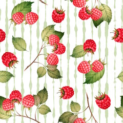 Raspberry seamless pattern with berries and leaves, hand-drawn botanical illustration on striped background