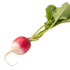Radish isolated on a transparent background