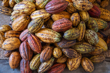 THAILAND NAN PUA VILLAGE COCOA VALLEY CHOCOLATE