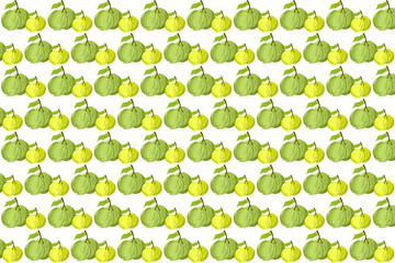 seamless pattern with guava