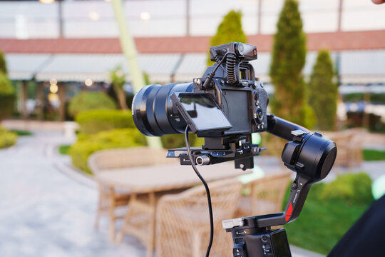 A professional camera is mounted on a stabilizer in a lush garden setting