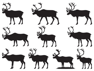 CARIBOU SILHOUETTE WHITE BACKGROUND