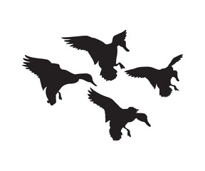 Flying Duck Silhouette, Vector Illustration Art