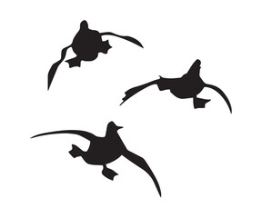 Obraz premium Flying Duck Silhouette, Vector Illustration Art