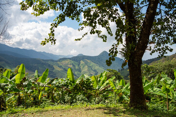 THAILAND NAN DOI PHU KHA VIEWPOINT