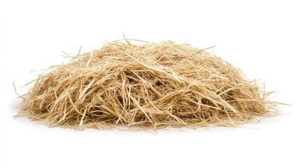 Pile of dry straw.  A mound of light tan straw strands, tightly clustered.  Isolated against a white background