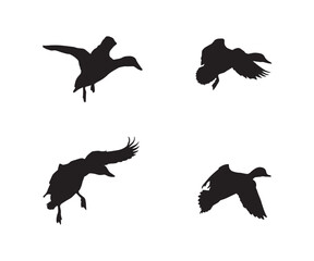 Flying Duck Silhouette, Vector Illustration Art