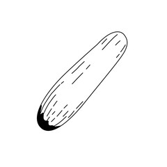 logo cucumber