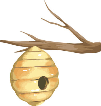 Watercolor beehive hanging from a branch