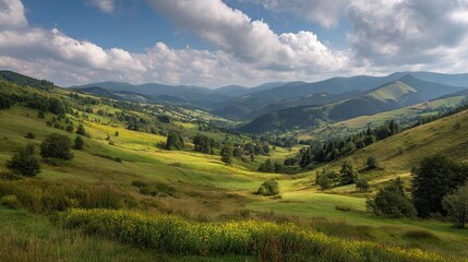 Naklejka premium Rolling Green Hills and Flowering Meadows of Ukraine Landscape