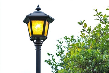 old street lamp on green background