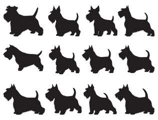 SCOTTISH TERRIER DOG SILHOUETTE