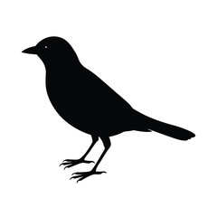 Fototapeta premium Stencil Art Bird Silhouette Vector Illustration