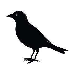 Obraz premium Clean Vector of Bird Silhouette Illustration