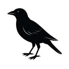 Obraz premium Vintage Bird Silhouette Vector Illustration