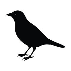 Obraz premium Realistic Bird Silhouette Vector Illustration