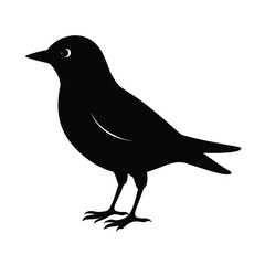 Fototapeta premium Tropical Bird Silhouette Vector Illustration