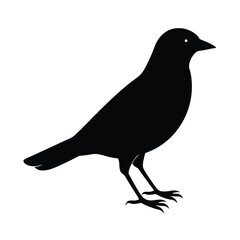 Obraz premium Elegant Bird Silhouette Illustration