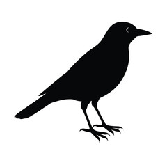 Obraz premium Simple Bird Silhouette Graphic