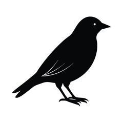 Obraz premium Realistic Bird Shadow Illustration