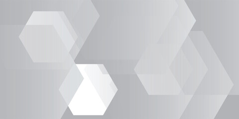 Abstract white geometric hexagon background vector illustration eps10