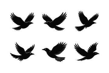 Minimal Black Bird Silhouette Vector Illustration