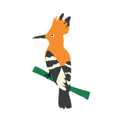 Exotic bird isolated on white background. Vector illustration