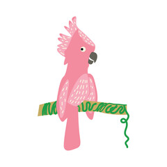 Pink exotic parrot. Vector illustration. 
