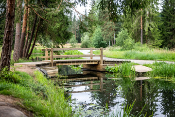 Obraz premium Tranquil Wooden Bridge Over Calm Pond Reflecting Forest Trees In Natural Setting