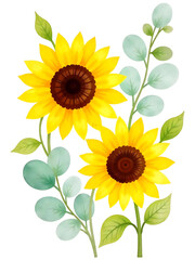 Two bright yellow sunflowers with eucalyptus leaves are painted in a watercolor illustration.
