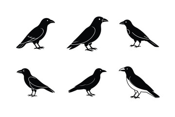 Flat Crow Flight Silhouette