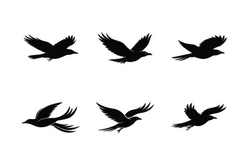 Obraz premium Blackbird in Flight Vector Design