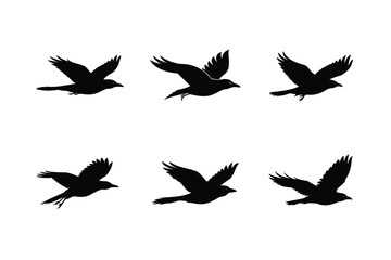 Obraz premium Crow Flying Icon Silhouette