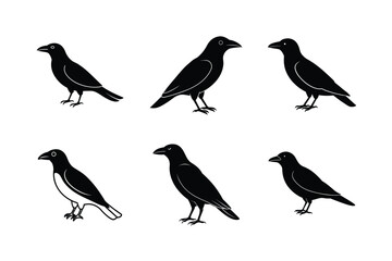 Sharp Crow Flight Vector Art