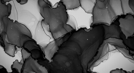 Abstract Art Black and White Ink Flow