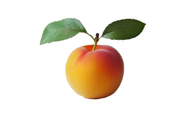 Bright orange apricot with green leaves sitting on light surface in natural lighting