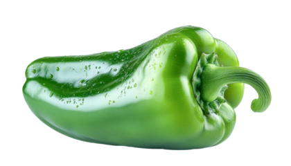 green bell pepper - fresh vegetable with water drops