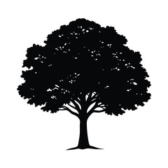 Fototapeta premium big tree silhouette vector strong and detailed