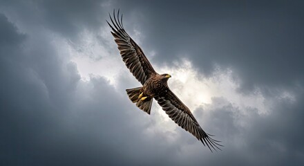 Obraz premium Powerful Black Hawk Eagle Soaring Above Tropical Canopy During Violent Storm With Lightning Flashes