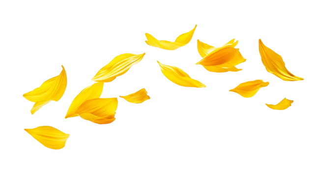 yellow flower petals in various scattered isolated png transparent cutout