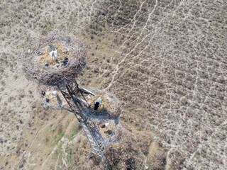 White stork nests on a pole, filmed from a quadcopter.Uzbekistan