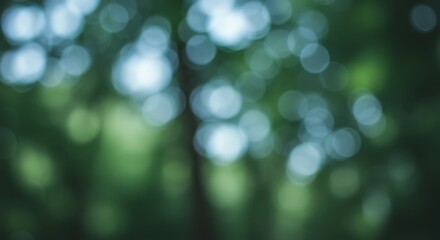 Obraz premium Abstract Green Bokeh Background