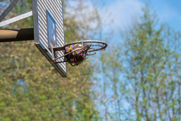 Basketball ball on the net