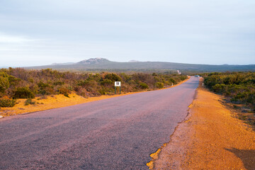 Road in the desert