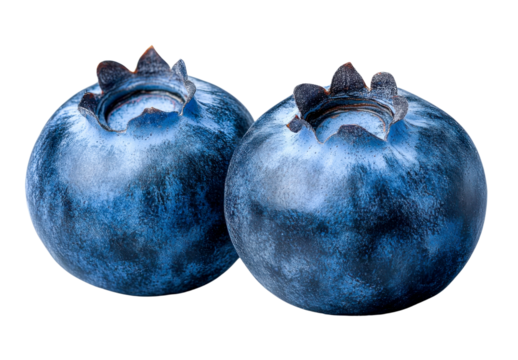 blueberries closeup - two fresh blue berries isolated