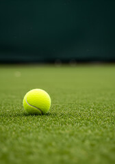 Tennis ball on court (41)