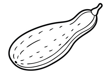 Bottle Gourd Vegetable Vector Illustration on White Background

